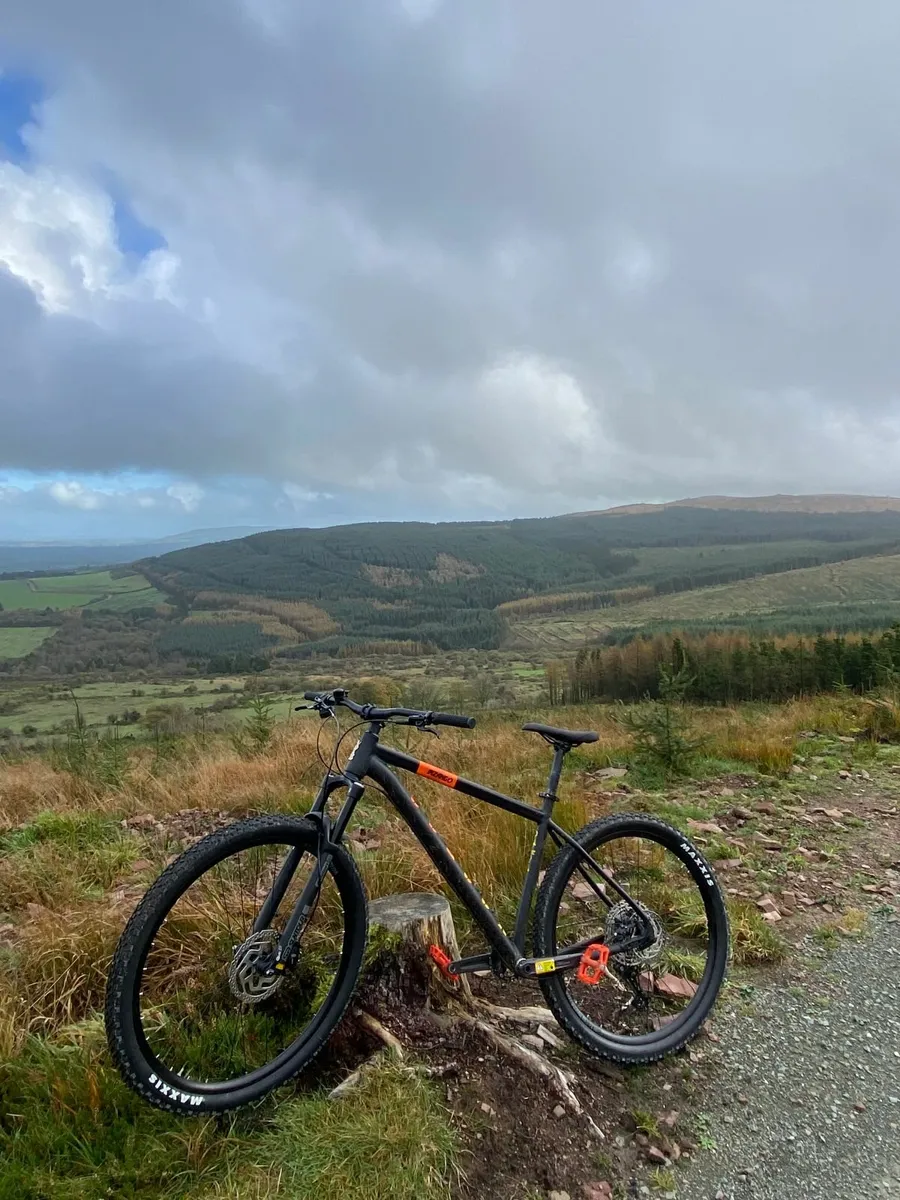 Voodoo Bizango XL bike + extras / Mountain Bike - Image 4