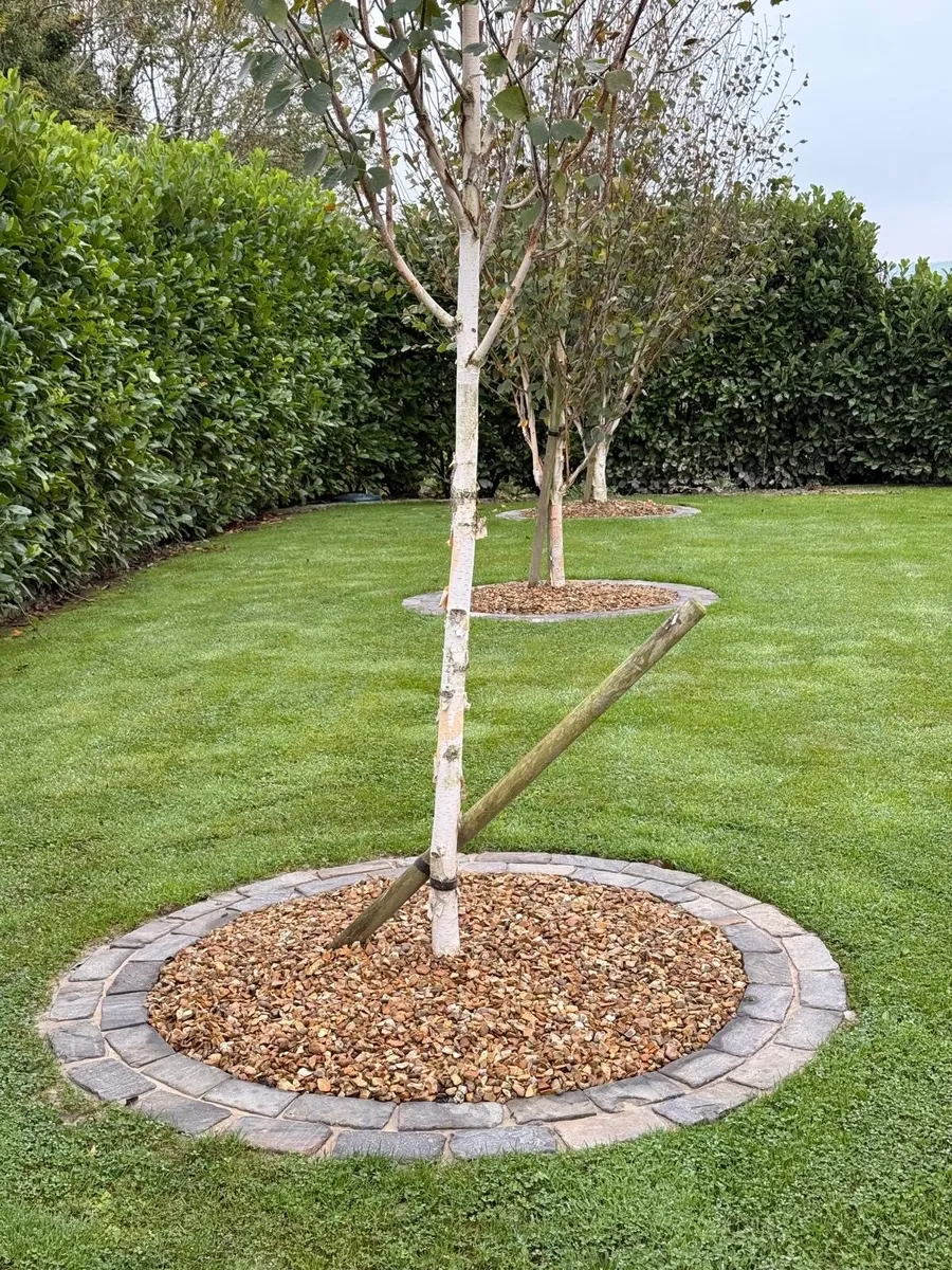 Laying porcelain - Image 4