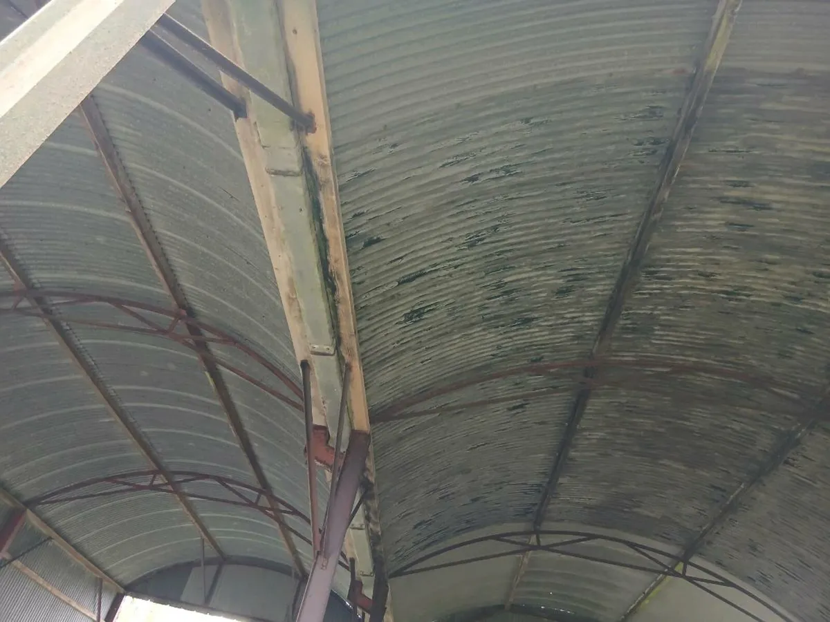 Shed for sale - Image 2