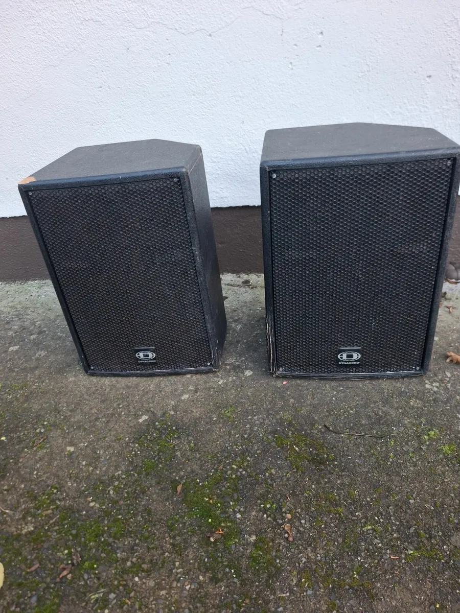 Dynacord passive speakers. - Image 1