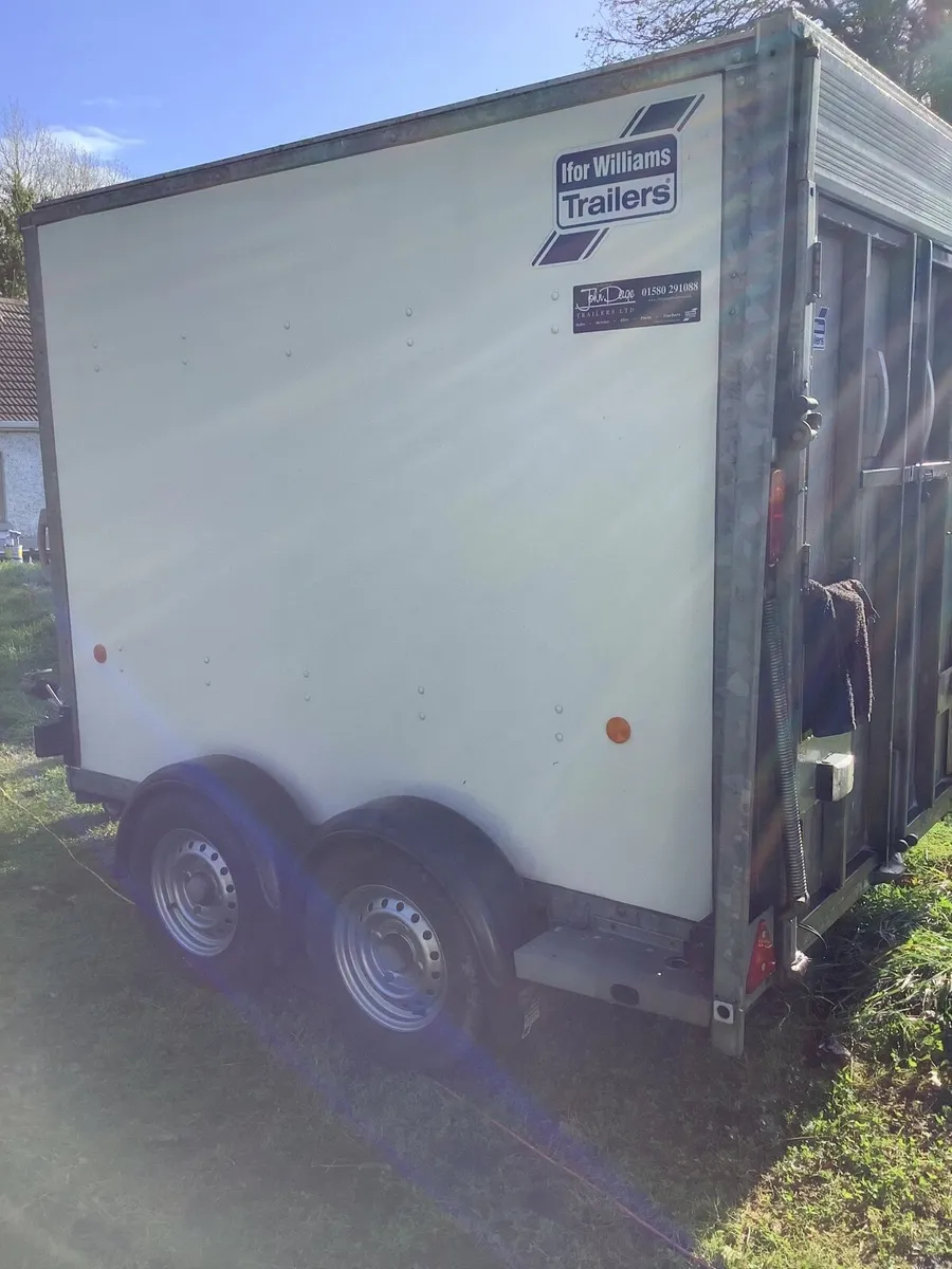 Box trailer Ifor Williams - Image 4