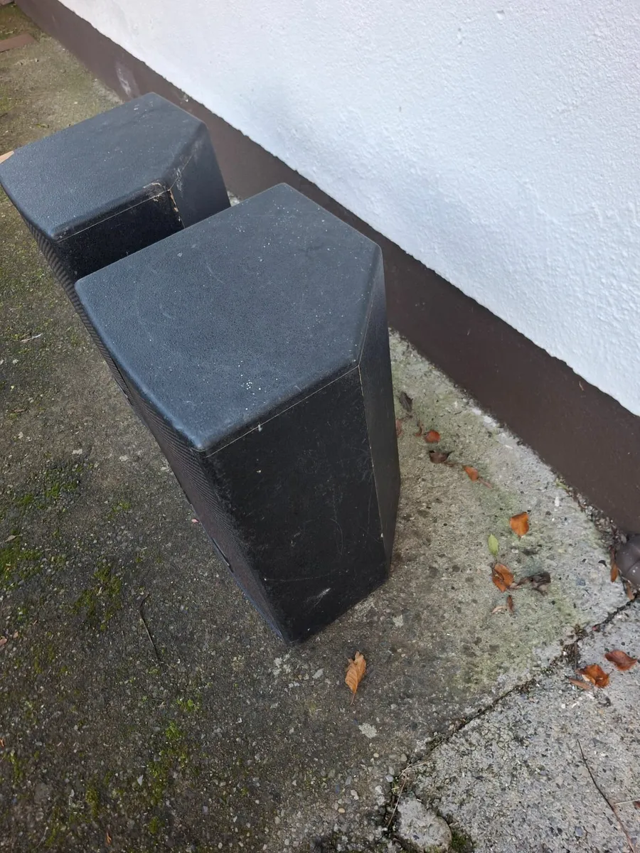 Dynacord passive speakers. - Image 3