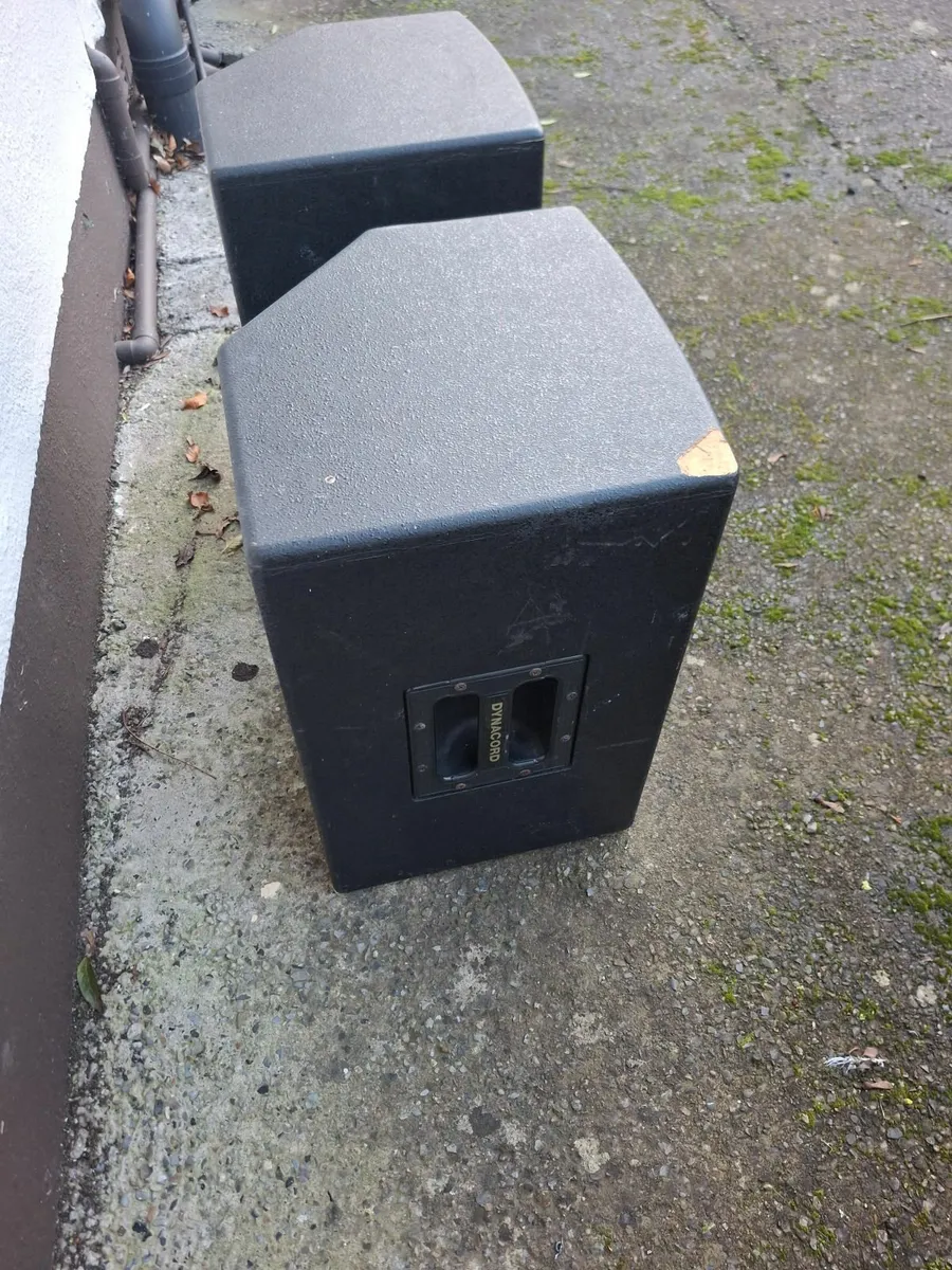 Dynacord passive speakers. - Image 4