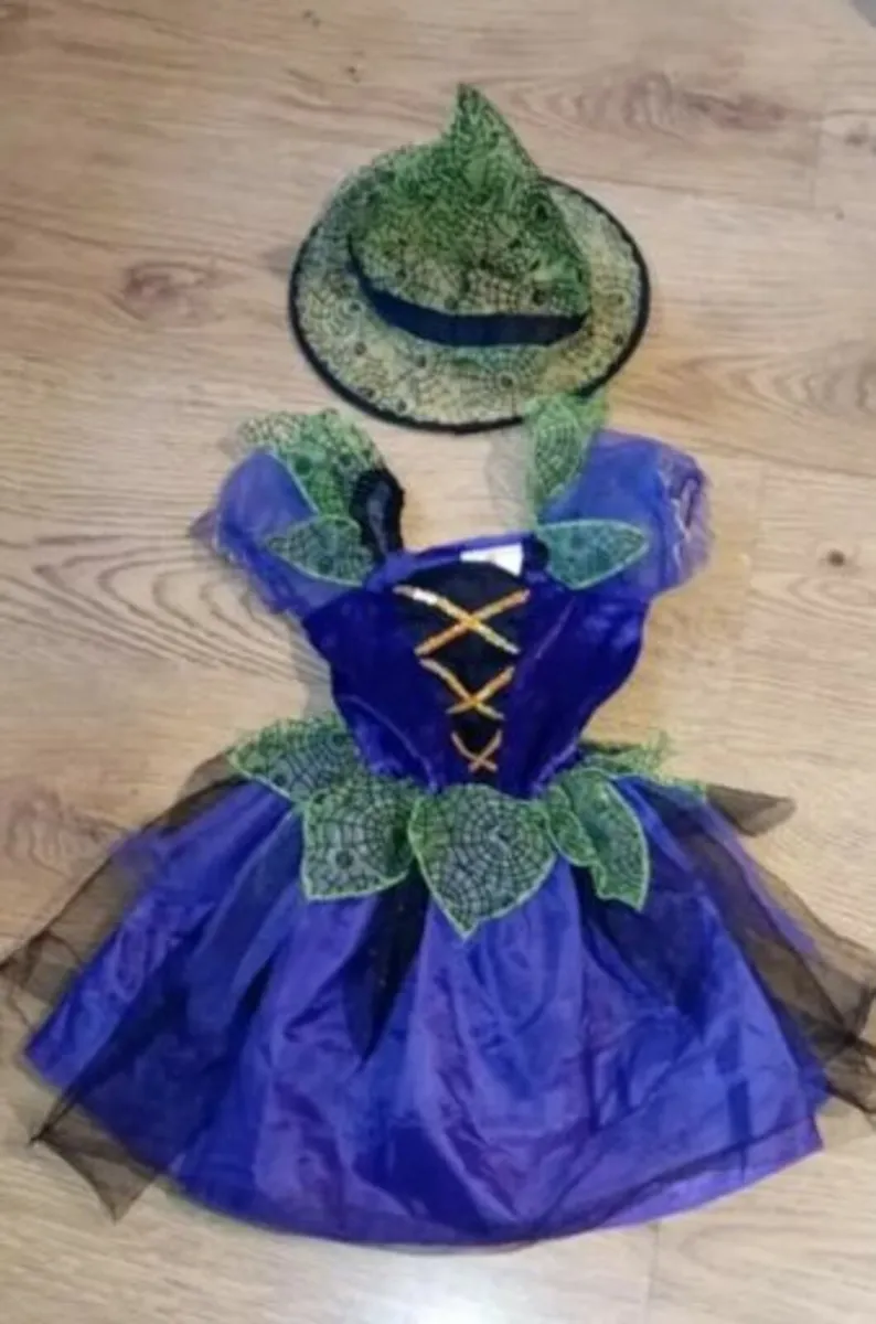 Kids Halloween Fancy dress outfits - Image 3