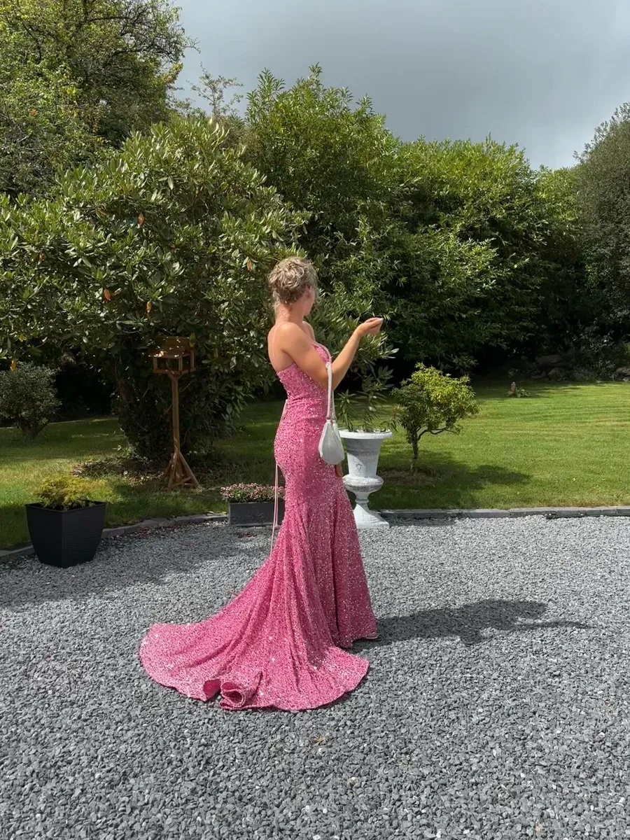 Debs/TY Ball dress - Image 1