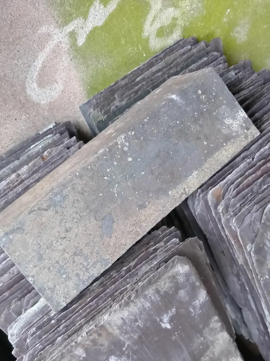 Blue bangor slates - Image 2