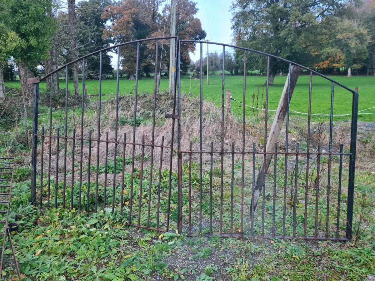 Entrance gates - Image 1