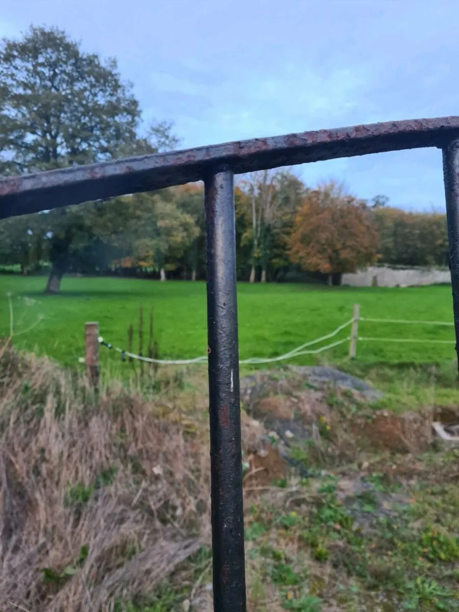 Entrance gates - Image 4