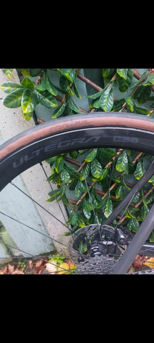 Carbon Wheels For Sale Liteweight - Image 3