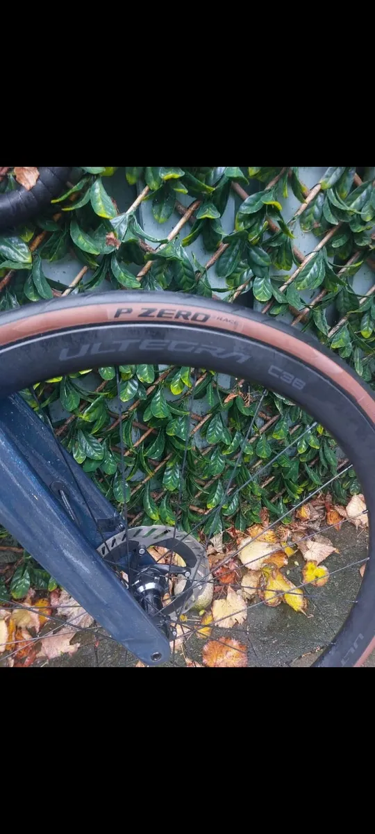 Carbon Wheels For Sale Liteweight - Image 4