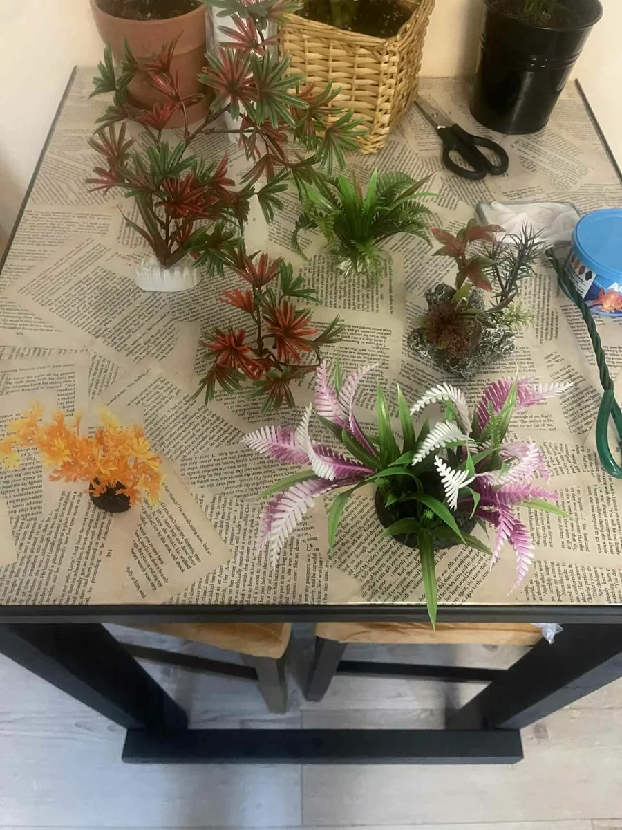 small fish tank  and alot of asserories - Image 2