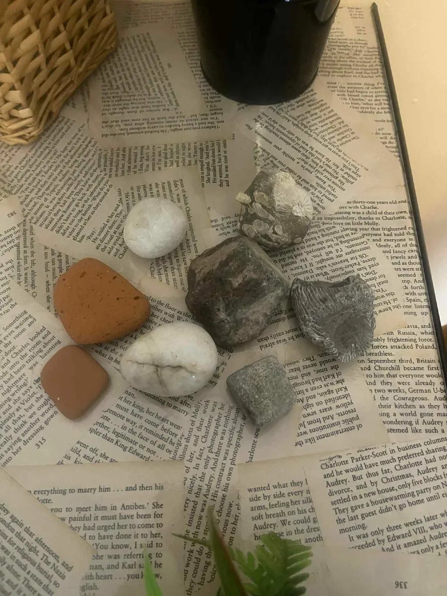 small fish tank  and alot of asserories - Image 4