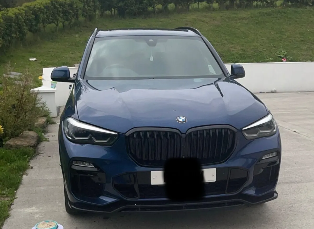 BMW X5 2019 / 2 owners - Image 2