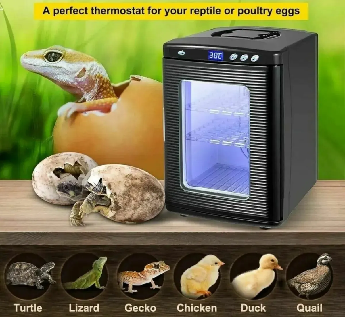 Egg Incubator 25L Digital Temp for Reptiles - Image 2