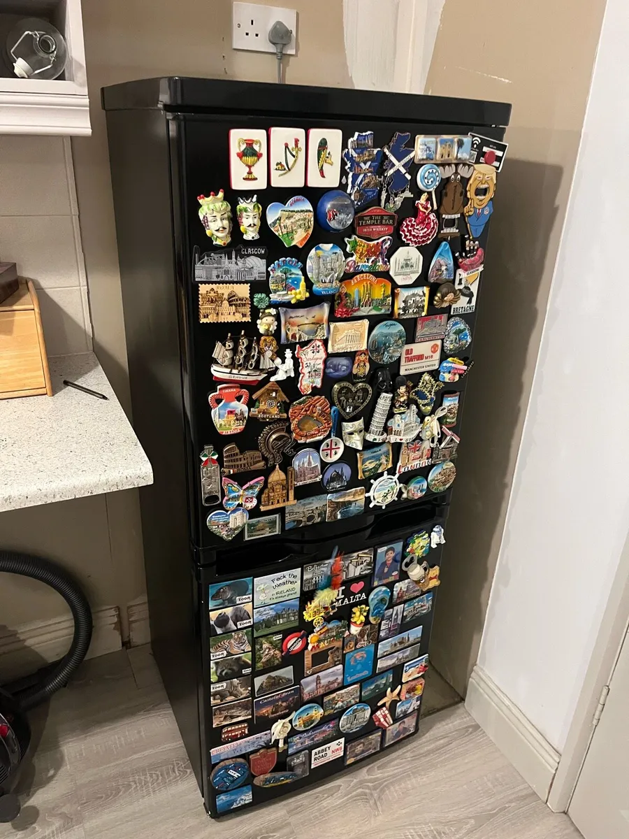 Fridge Freezer Bush - Image 1