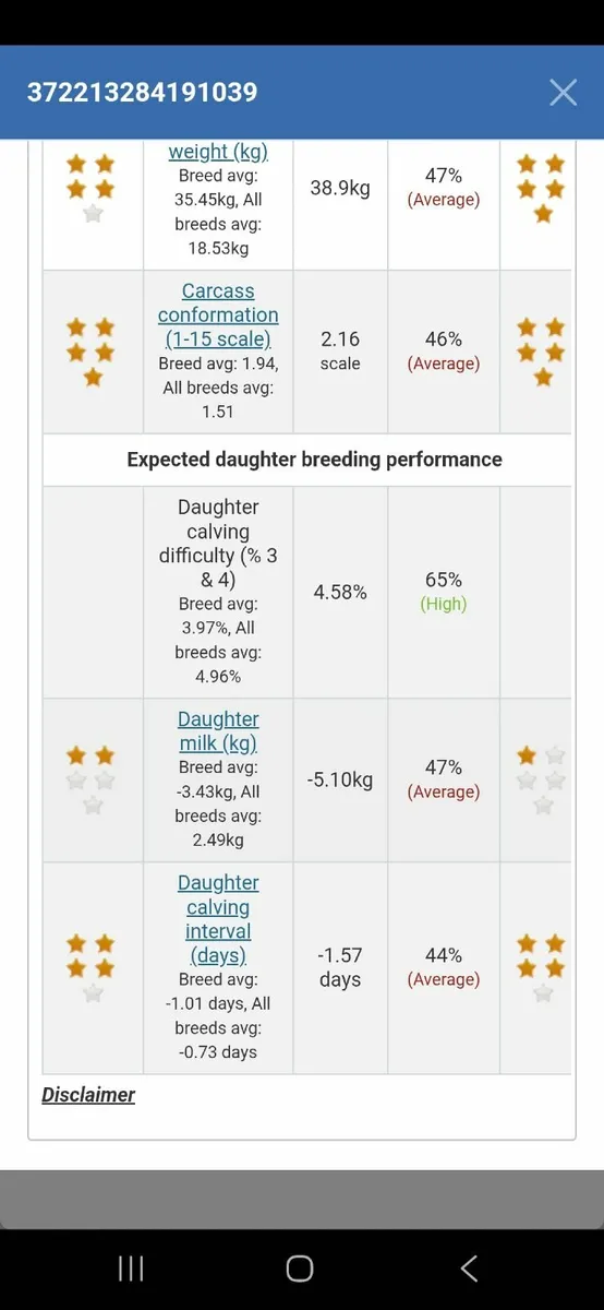 PBR CH bull - Image 4