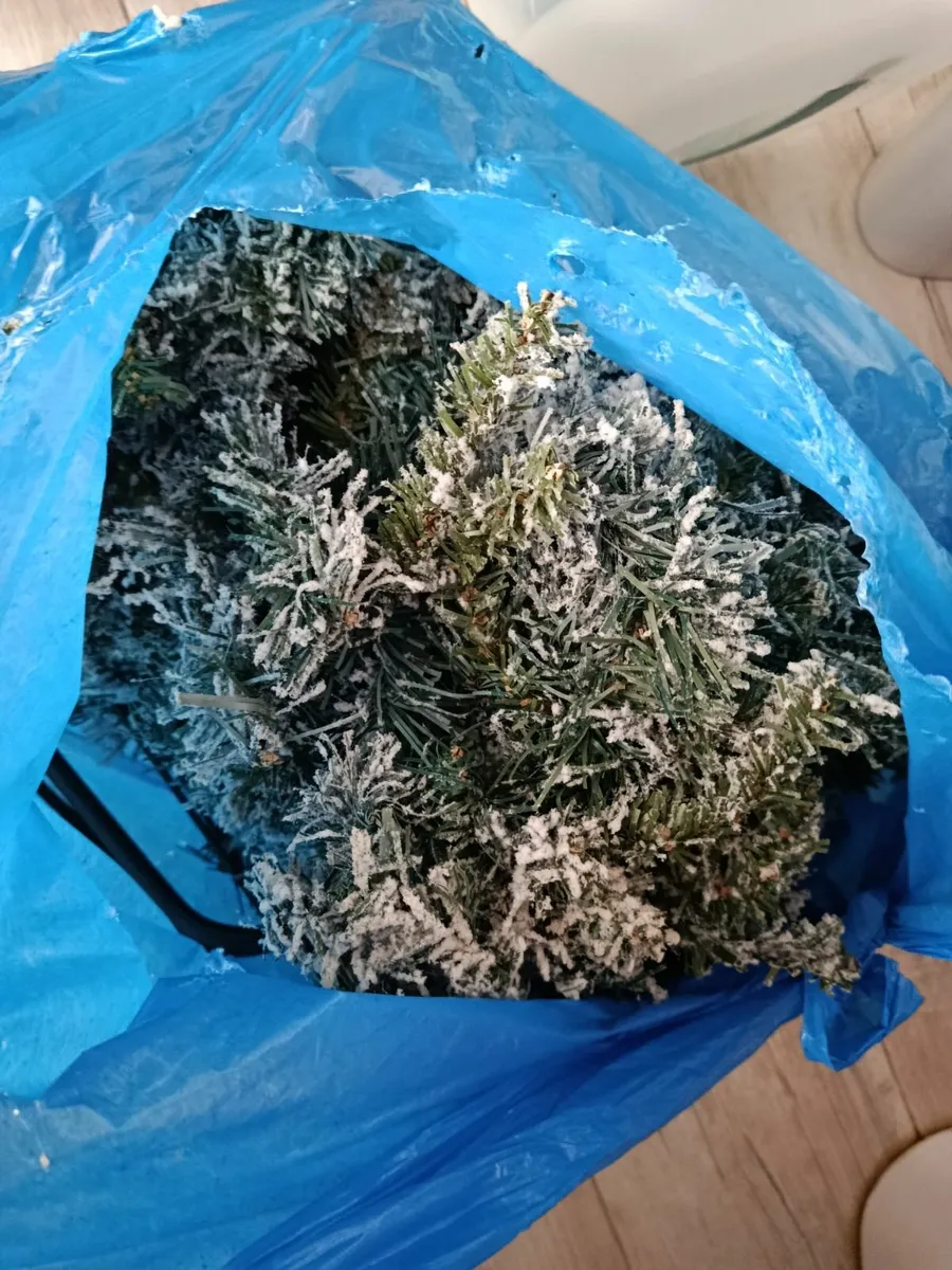 Christmas tree - Image 2