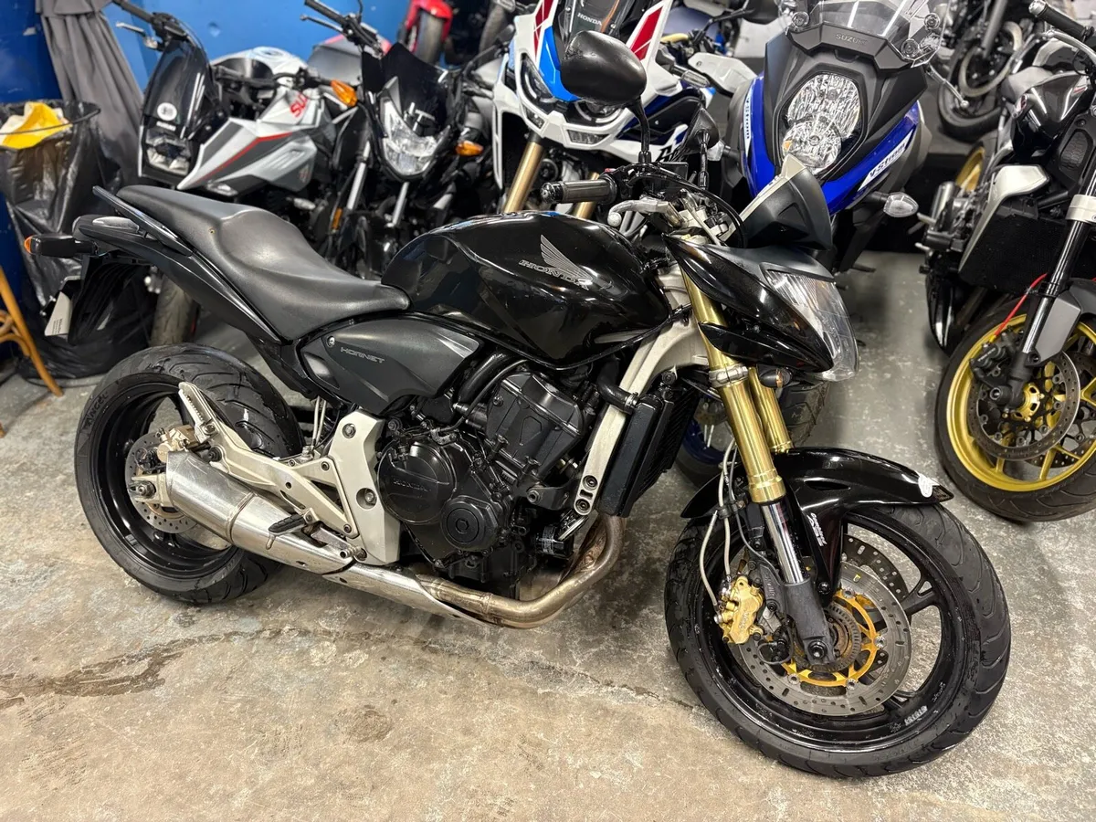 2008 Honda Hornet 600. - Image 2