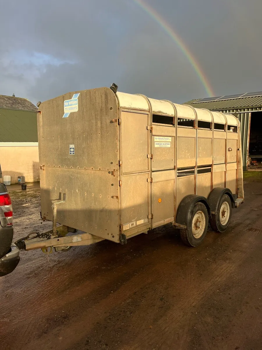 12x6 cattle trailer - Image 1