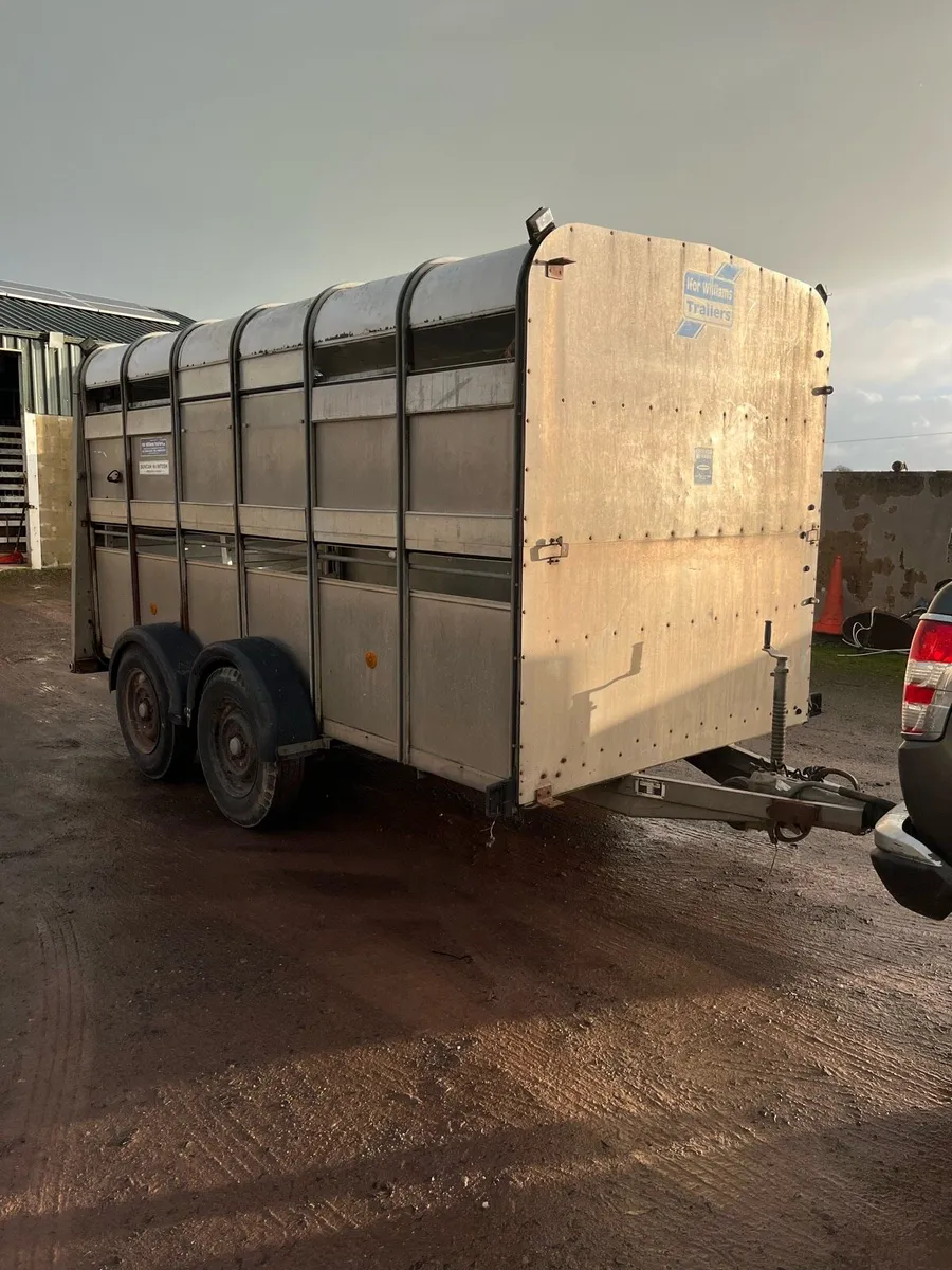 12x6 cattle trailer - Image 2