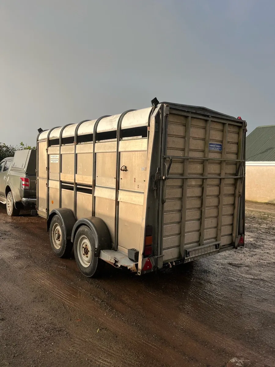 12x6 cattle trailer - Image 3
