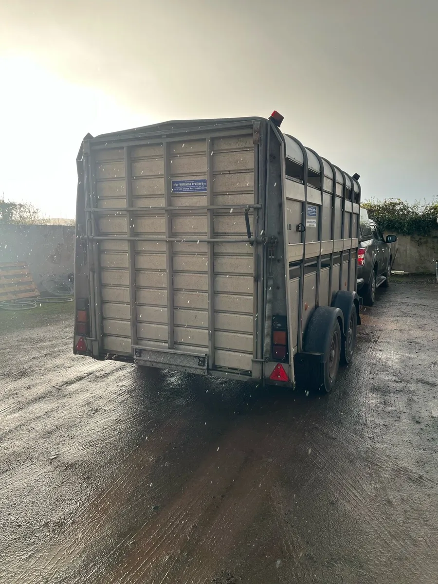 12x6 cattle trailer - Image 4