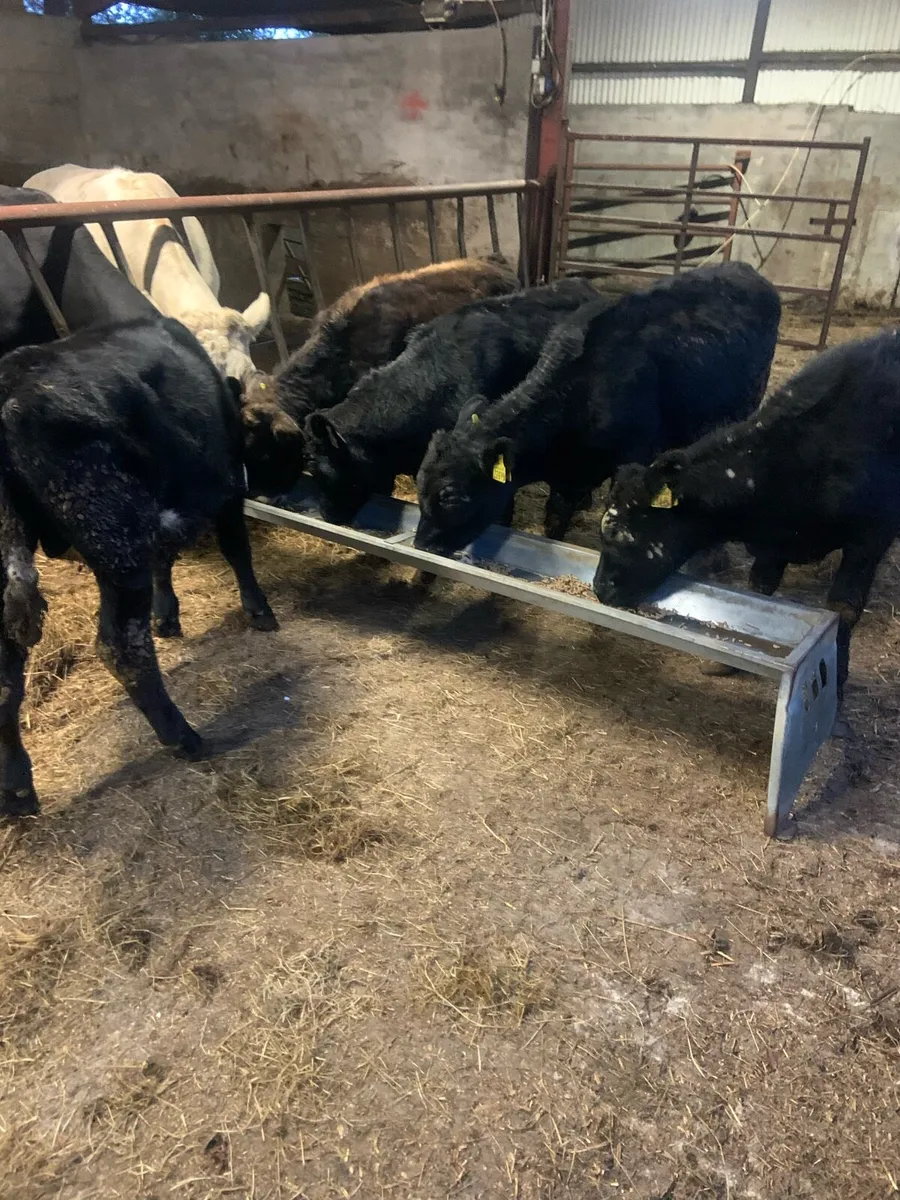 5 Wealings - Image 1