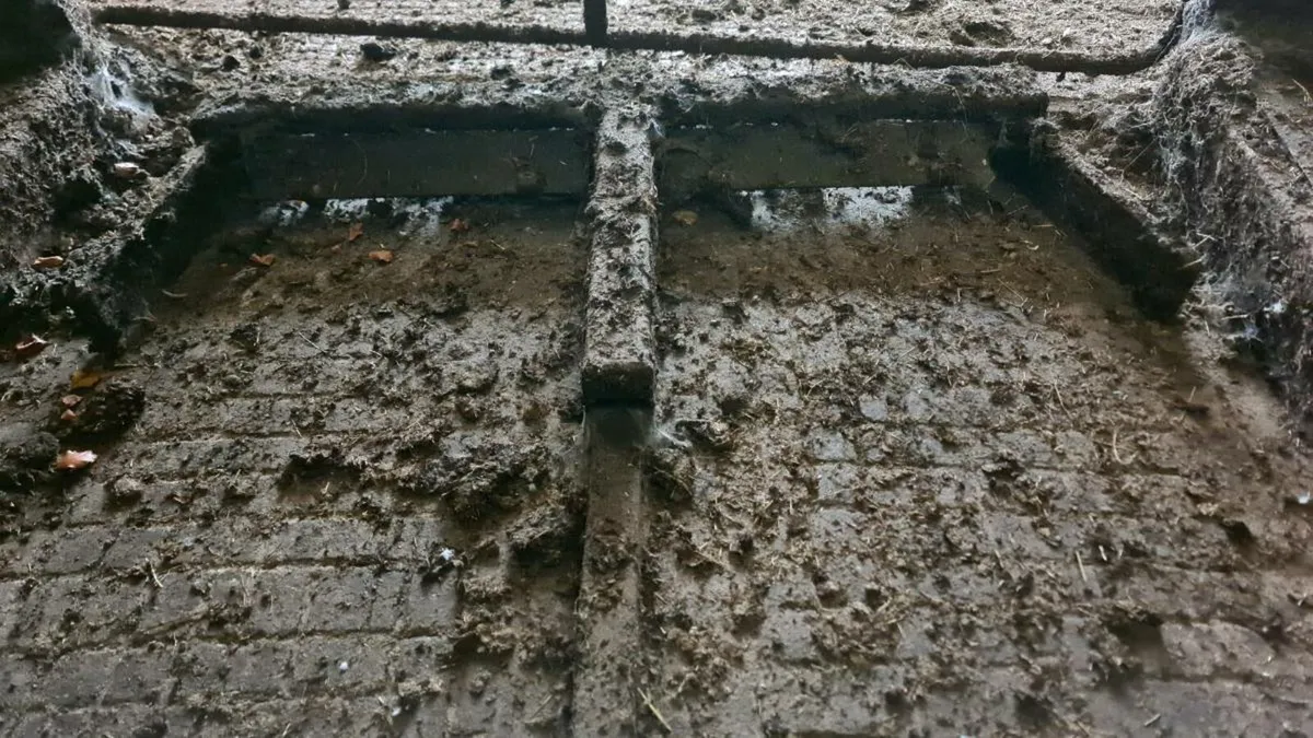 Automatic scrapers - Image 2