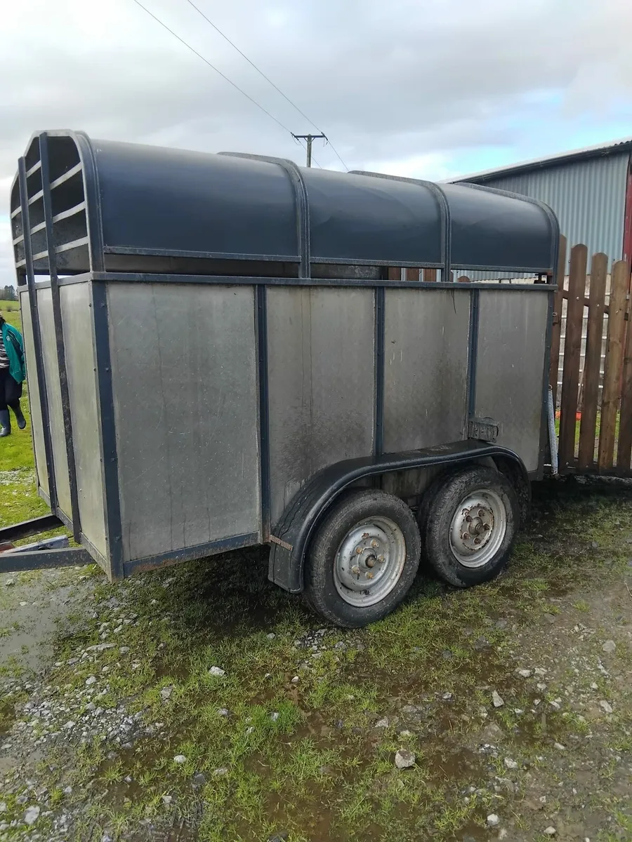 Livestock Trailer - Image 3