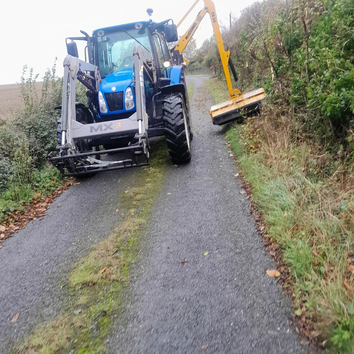 Hedgecutting Services - Image 3