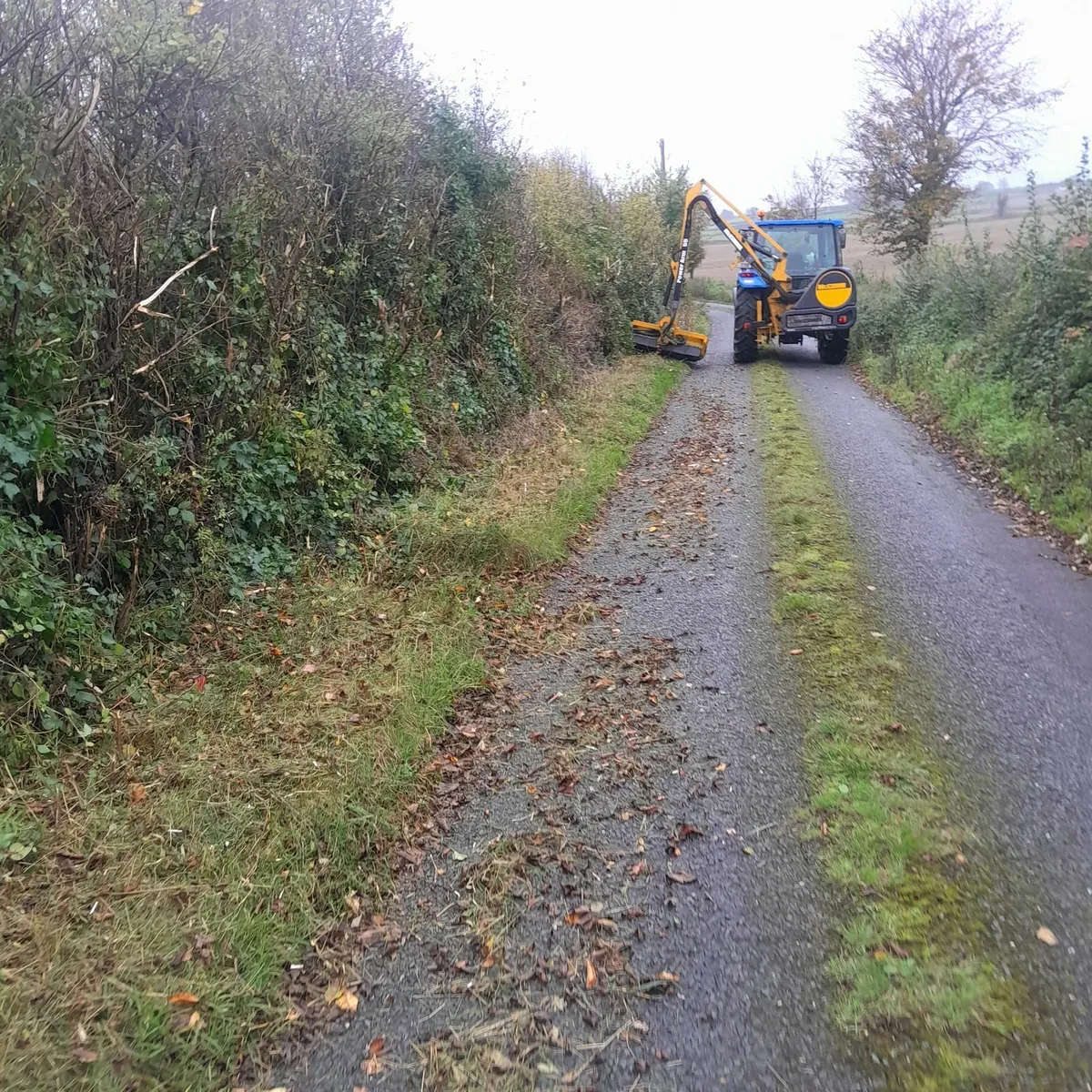 Hedgecutting Services - Image 4