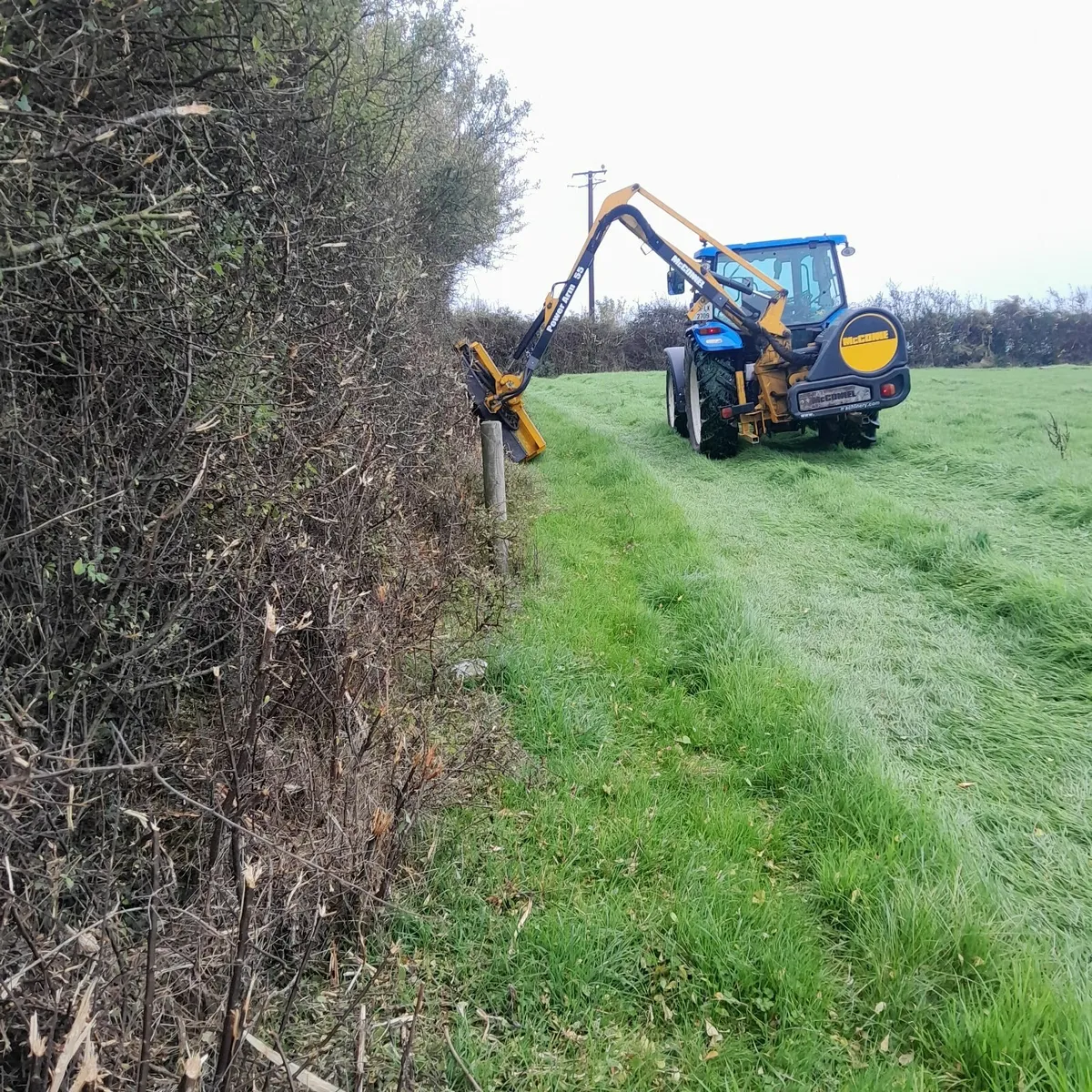 Hedgecutting Services - Image 2