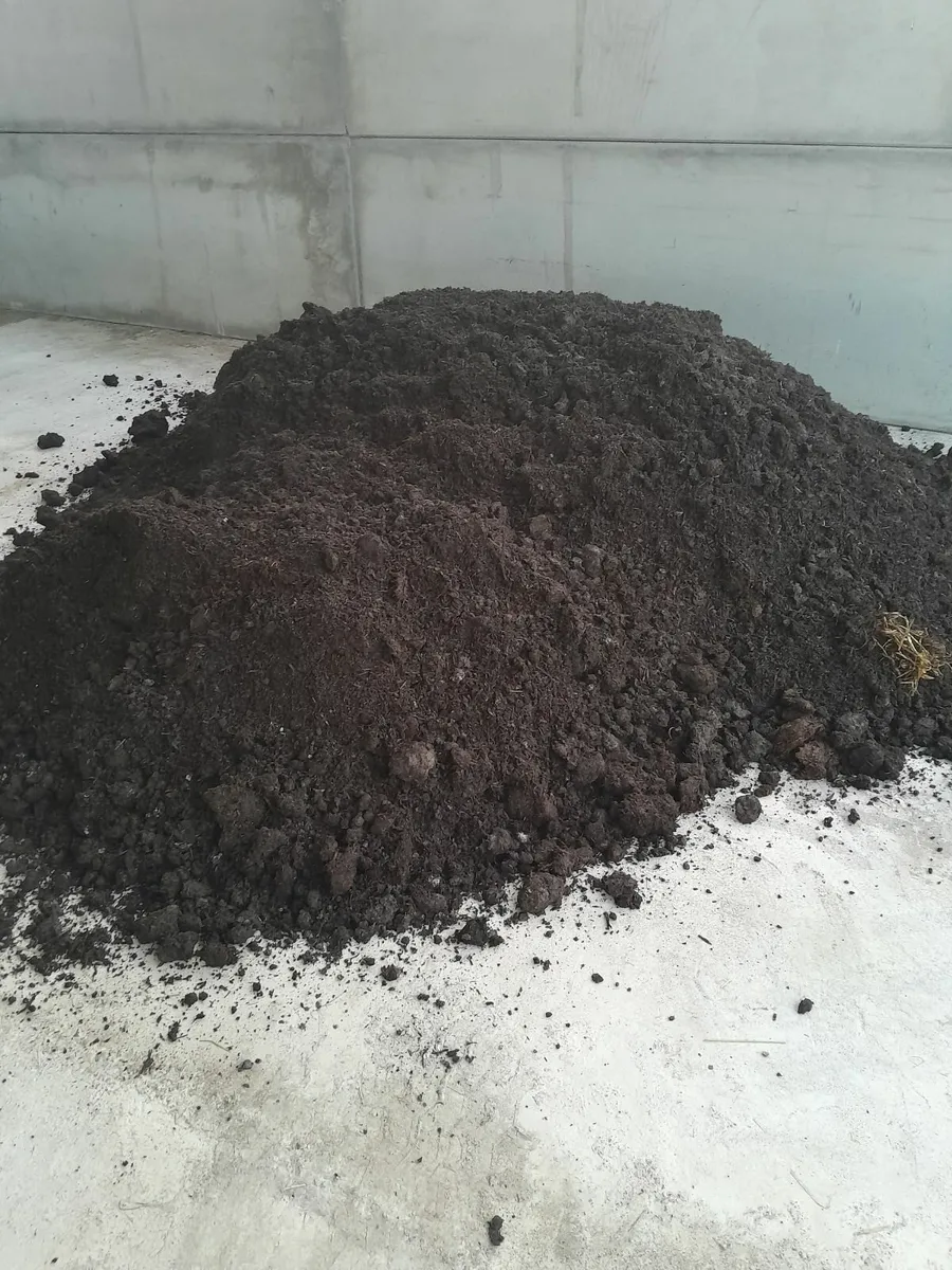 Mushroom compost - Image 2