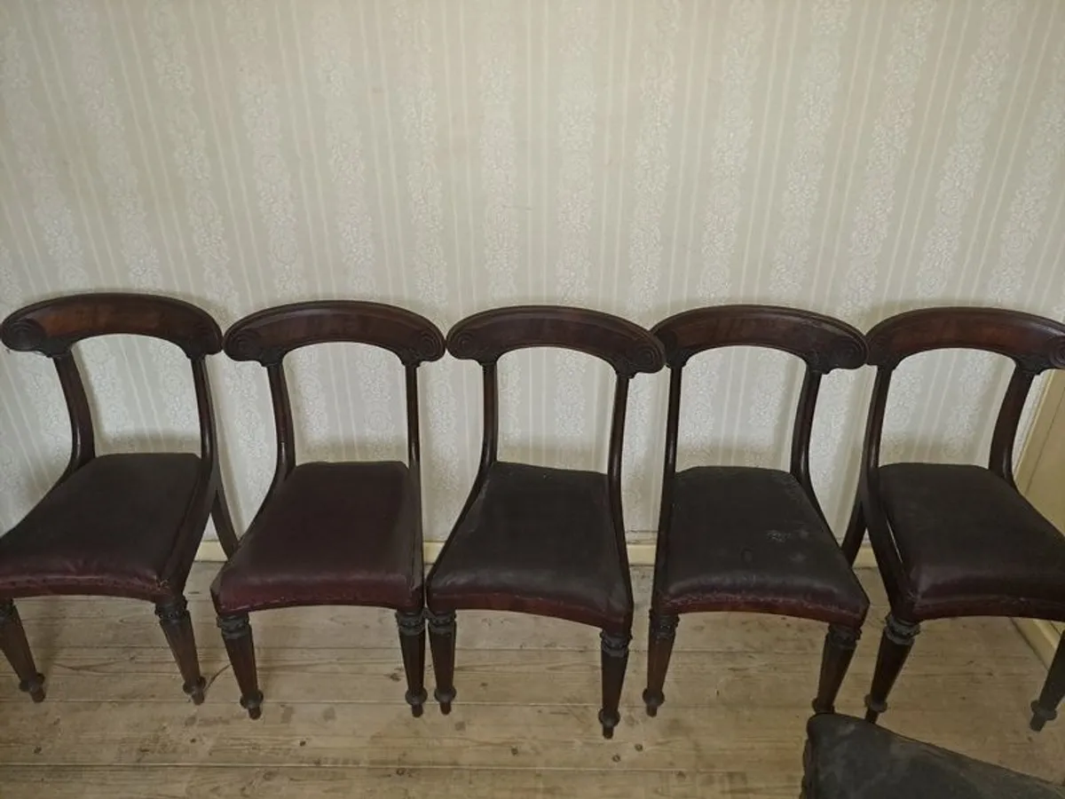 Set of William IV mahogany dining chairs