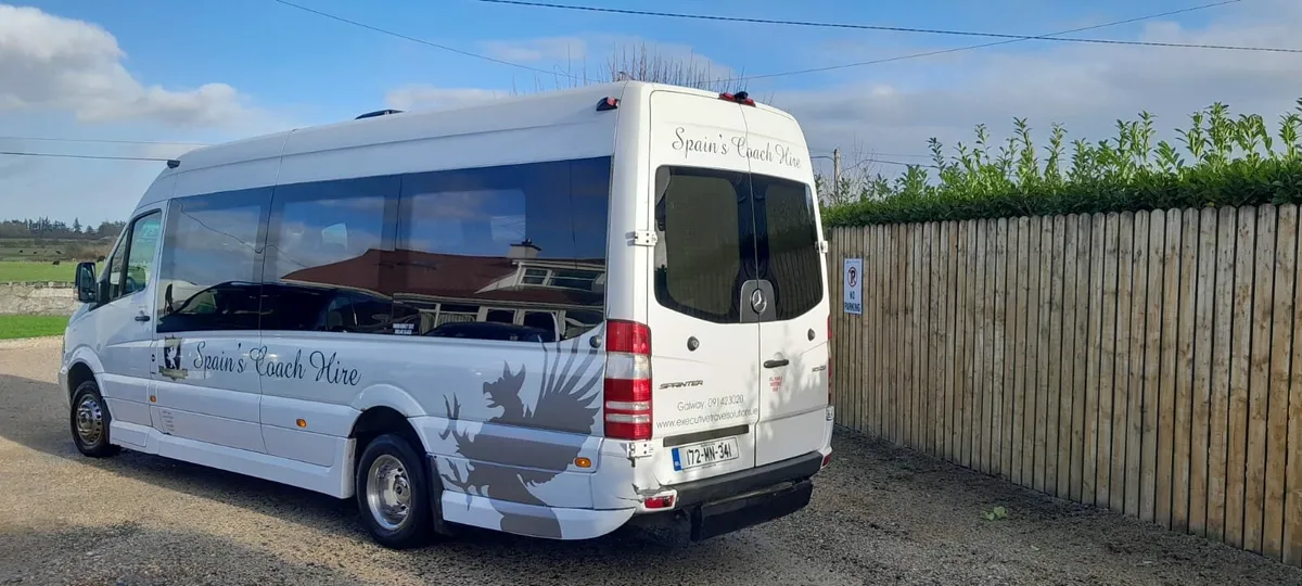 Mercedes Sprinter 19 seat wheel-chair - Image 2