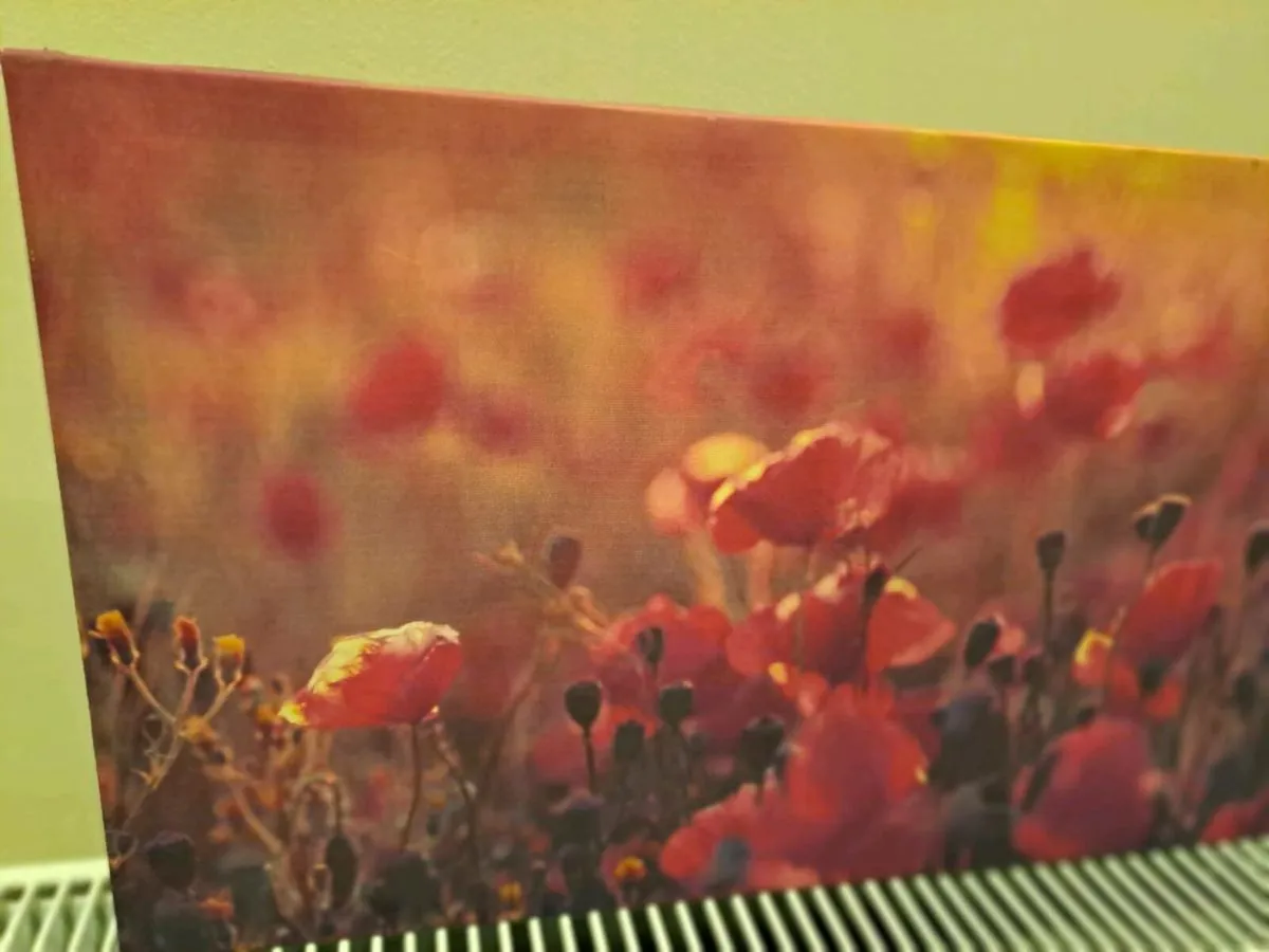 Picture of poppies canvas - Image 2