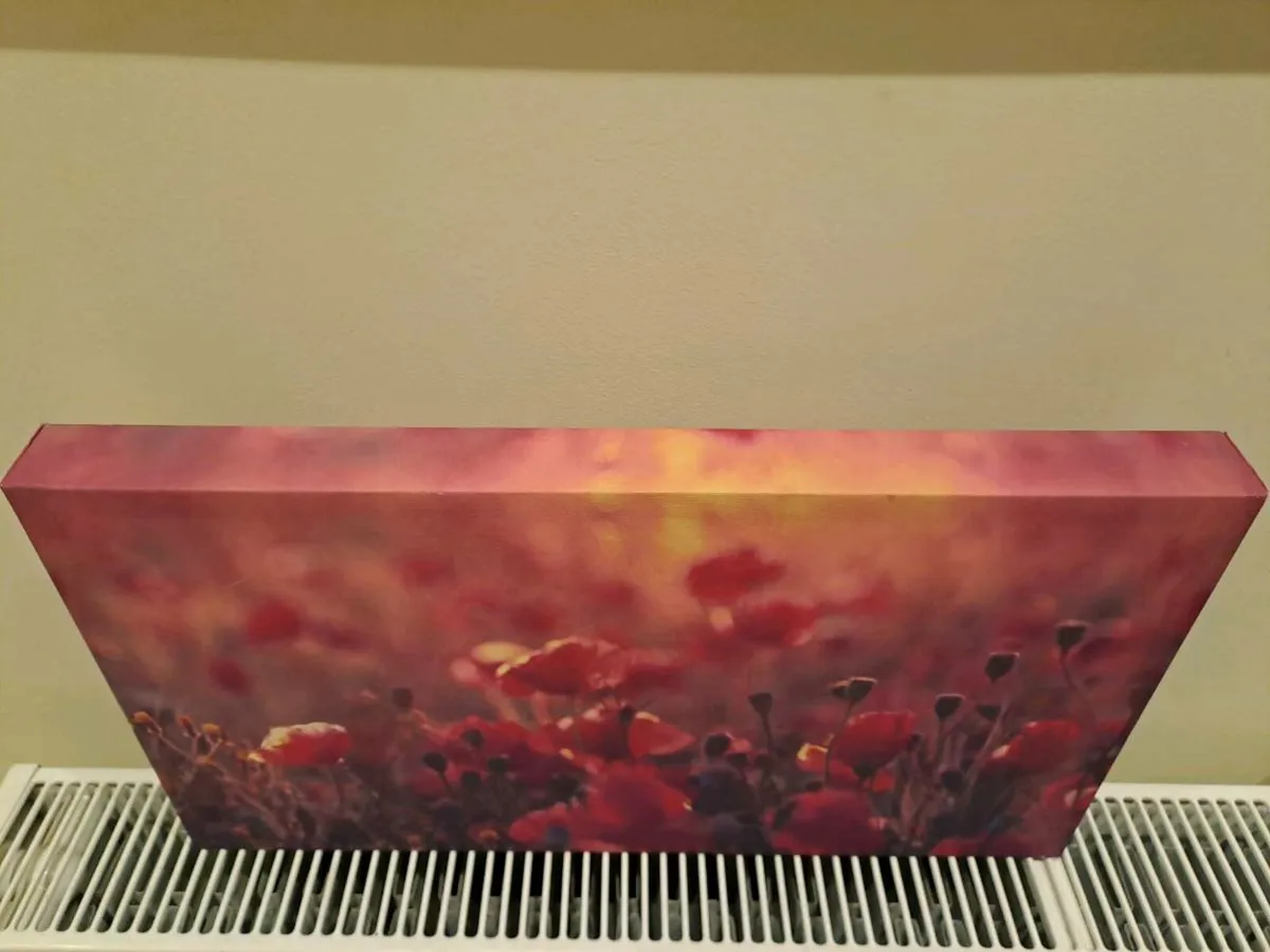Picture of poppies canvas - Image 3