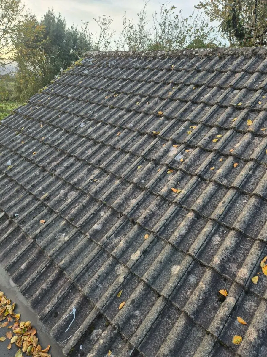 Roof tiles - Image 1