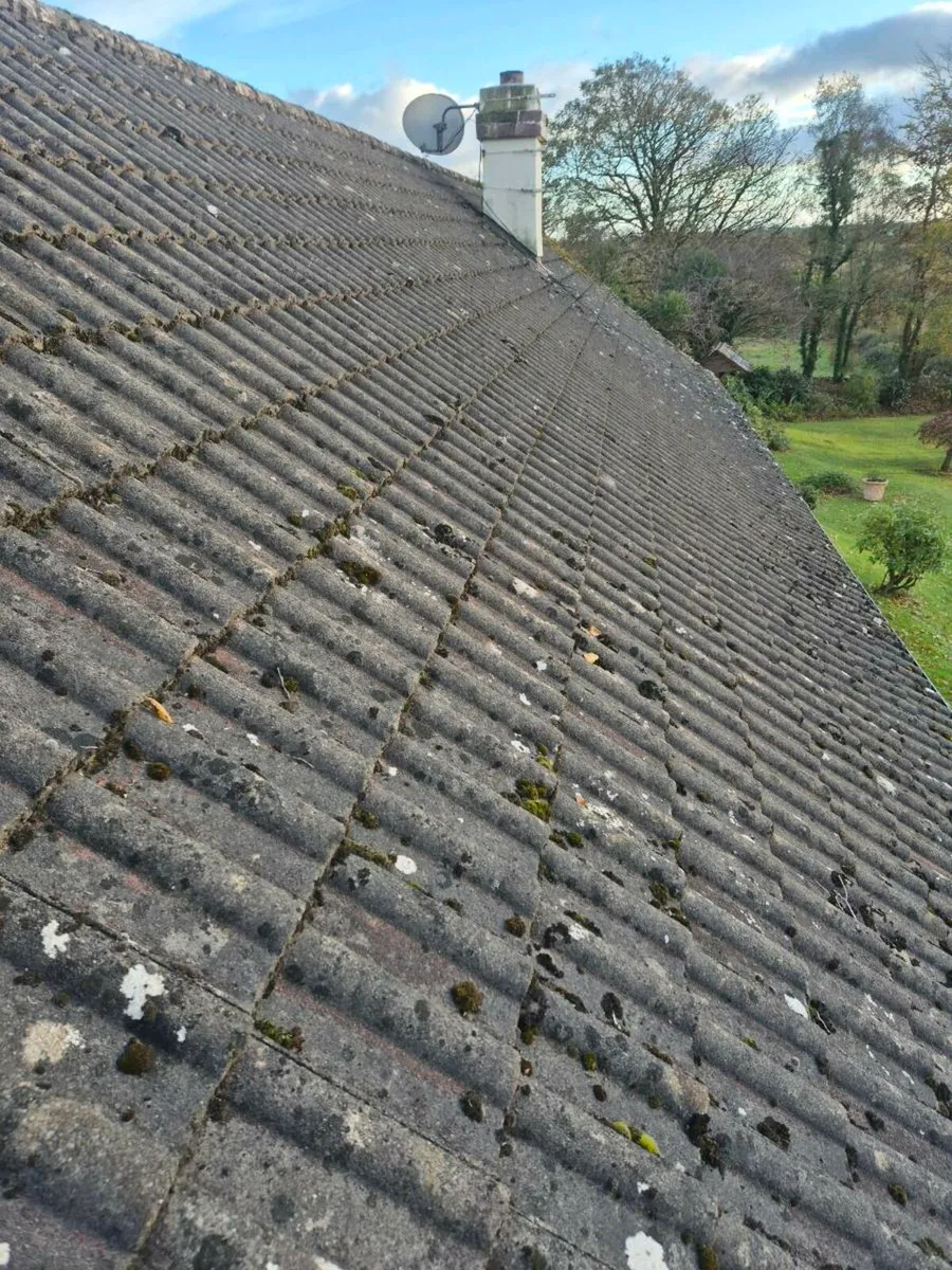 Roof tiles - Image 2