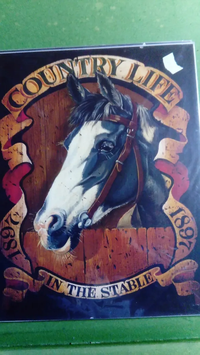 Unframed horse prints - Image 3