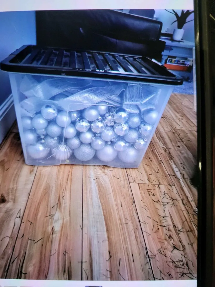 Christmas decorated - Image 2