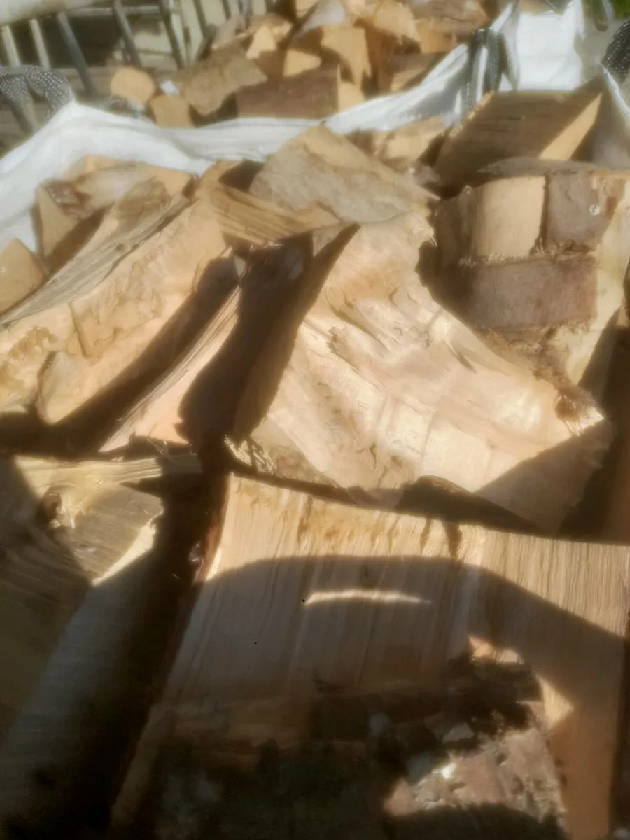 Firewood - Image 1