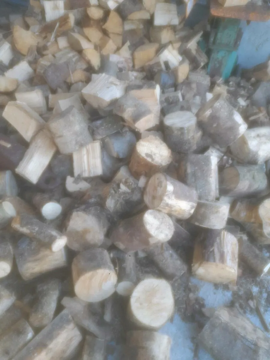 Firewood - Image 2