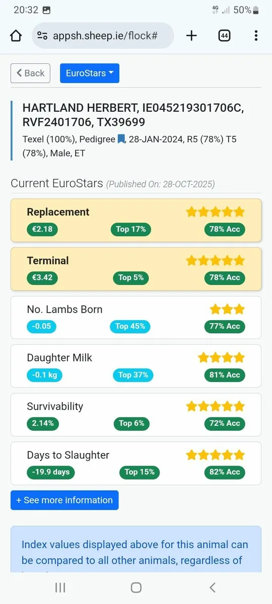 Pedigree Texel Ewe Lambs - Image 2