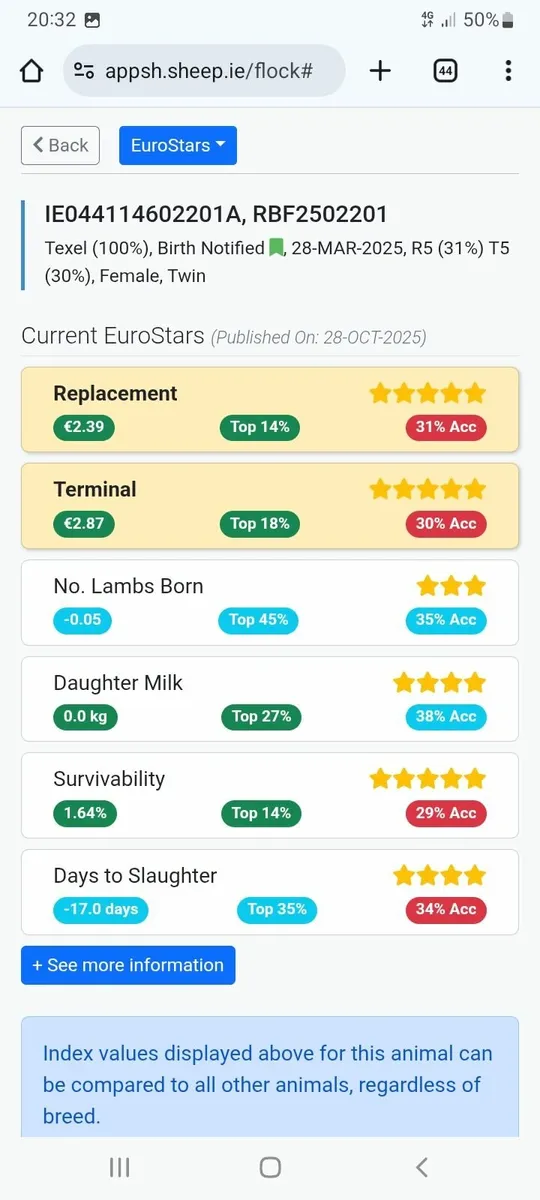 Pedigree Texel Ewe Lambs - Image 3