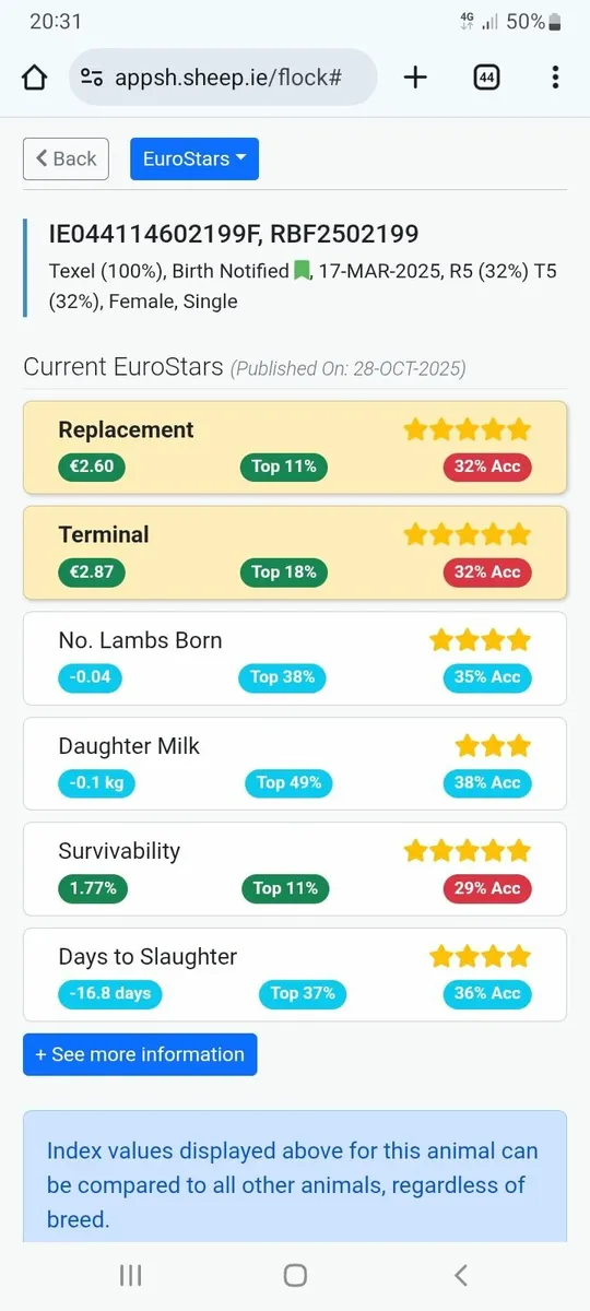 Pedigree Texel Ewe Lambs - Image 4