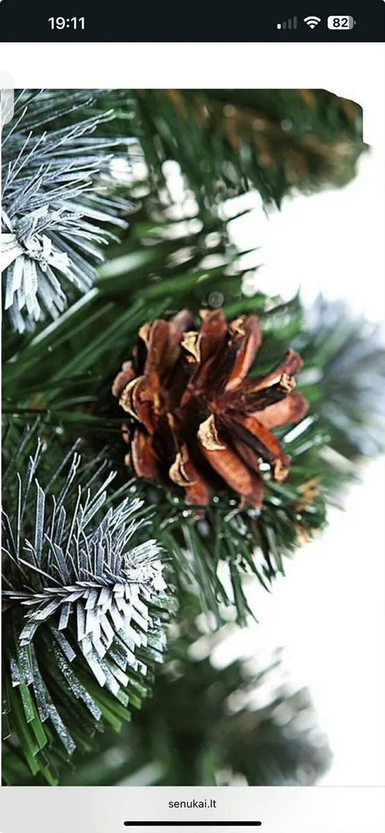 Christmas Tree - Image 2