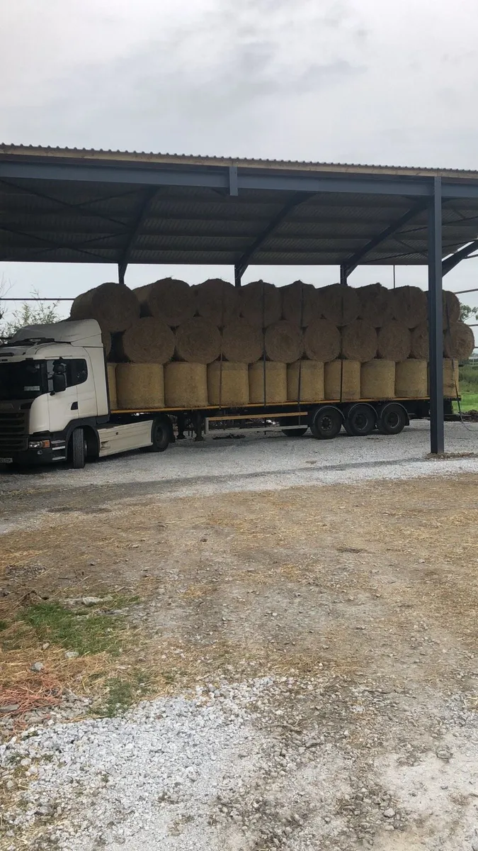 Hay & Straw - Image 1