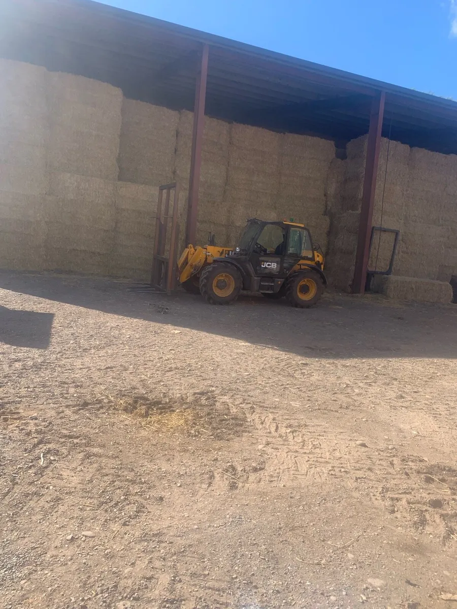 Hay & Straw - Image 2