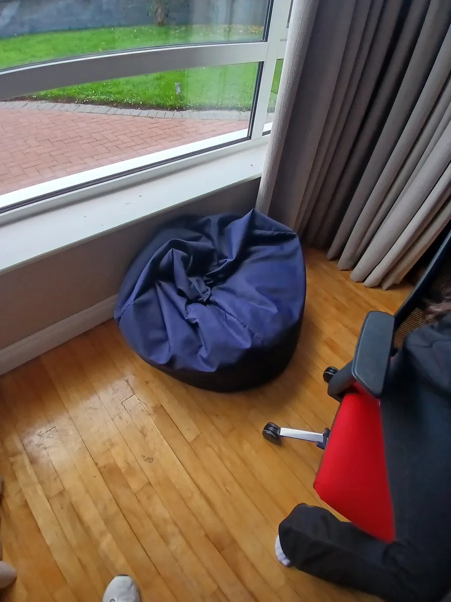 Beanbag - Image 2
